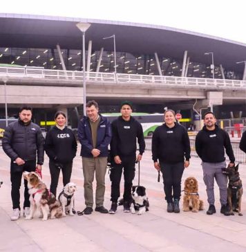 Viajes con mascotas suben 64% en el Aeropuerto de Santiago y superan cifras prepandemia 