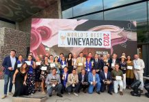 World’s Best Vineyards: 7 viñas chilenas entre las 50 mejores del mundo