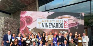 World’s Best Vineyards: 7 viñas chilenas entre las 50 mejores del mundo