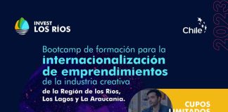 Bootcamp de Formación para la Internacionalización de Emprendimientos en la Industria Creativa: Una Oportunidad para el Crecimiento de las industrias creativas