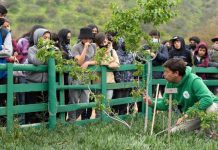 Conoce 10 imperdibles iniciativas socioambientales para visitar en el Festival OH! Stgo Conoce 10 imperdibles iniciativas socioambientales para visitar en el Festival OH! Stgo