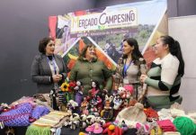 Debuta Mercado Campesino en el Mall del Centro de Concepción