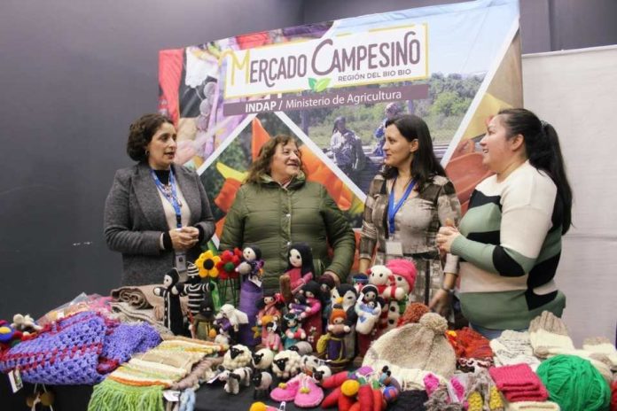 Debuta Mercado Campesino en el Mall del Centro de Concepción