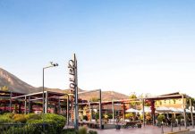 Día del Pinot Noir: curiosidades y cómo maridarlo de manera correcta Día del Pinot Noir curiosidades y cómo maridarlo de manera correcta