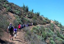 Explora la Región Metropolitana con el Festival OH! Stgo este fin de semana