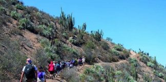 Explora la Región Metropolitana con el Festival OH! Stgo este fin de semana