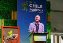 Expo Chile Agrícola
