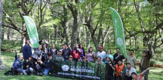 Fundación Reforestemos lanza convocatoria para su icónico voluntariado de reforestación en la Patagonia