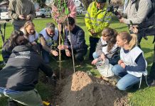 Nestlé, P&G y Walmart Chile movilizan a sus voluntarios en jornada de reforestación en Maipú reforestación en Maipú