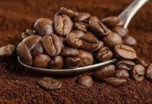 Descubre su origen y la variedad de sus granos Descubre su origen y la variedad de sus granos