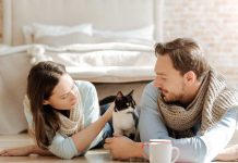 Diseño, decoración y sector mascotas: Las nuevas propuestas que trae Expo Vivienda 2023 Diseño, decoración y sector mascotas: Las nuevas propuestas que trae Expo Vivienda 2023