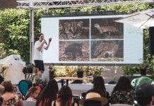 Festival Ladera Sur 2023: Se confirma su segunda edición y comienza preventa de entradas