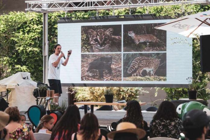 Festival Ladera Sur 2023: Se confirma su segunda edición y comienza preventa de entradas