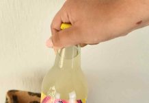 Ginger Beer
