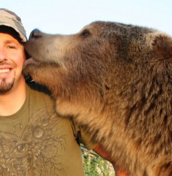 Festival Ladera Sur: Casey Anderson, experto en osos y presentador de Nat Geo dará charla sobre relación de seres humanos con la naturaleza y animales salvajes