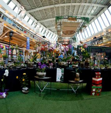 Con una variada propuesta de expositores Mall Sport realizará su tradicional Feria de Emprendedores de Navidad