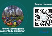 Explora los Secretos de la Patagonia Chilena: La App Raíz Bienestar te transporta a bosques y parques profundos