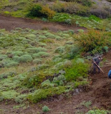 Las Torres Patagonia lidera trabajos de reconstrucción del sendero que conecta a Base Torres en el Parque Nacional Torres del Paine