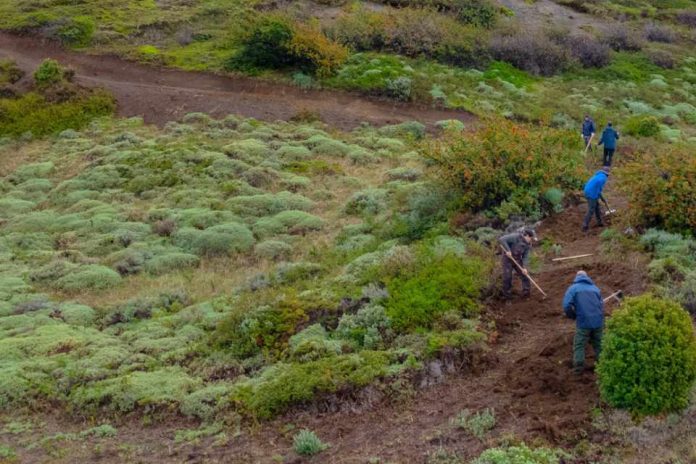 Las Torres Patagonia lidera trabajos de reconstrucción del sendero que conecta a Base Torres en el Parque Nacional Torres del Paine