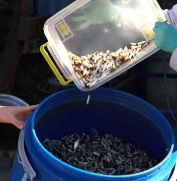 Proyecto C20+ de Collahuasi desarrolla innovadora campaña medioambiental para reutilizar colillas de cigarro
