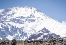 Gobierno de Santiago y Fundación DeporteLibre firman acuerdo para fortalecer el turismo de montaña en San José de Maipo