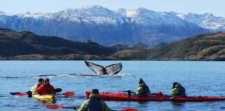La región de Magallanes apuesta por ofrecer una temporada turística única durante todo el año