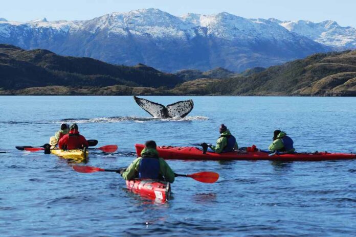 La región de Magallanes apuesta por ofrecer una temporada turística única durante todo el año