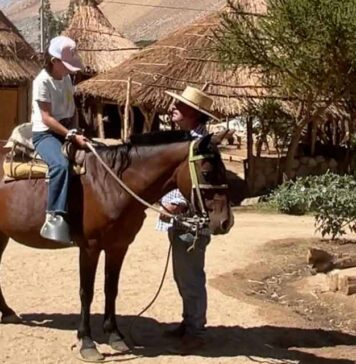 Recárgate de energía con una cabalgata por montañas y arroyos en el Valle de Elqui