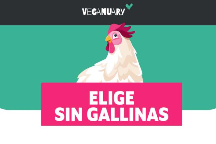 Campaña “Elige Sin Gallinas” invita a probar productos alternativos al pollo disponibles en el mercado