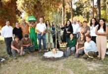 Con plantaciones de olivos se conmemora el Día de la Tierra de Palestina