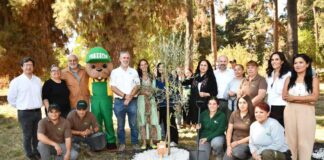 Con plantaciones de olivos se conmemora el Día de la Tierra de Palestina