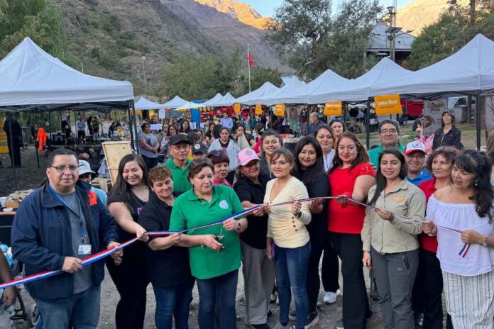 Programa Emprendimiento con Futuro de Codelco Andina realiza primera feria de emprendedores/as en Río Blanco