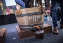 Vendimia Fest 2024: más de 40 viñas de los distintos valles vitivinícolas del país se preparan para la gran fiesta en torno al vino  