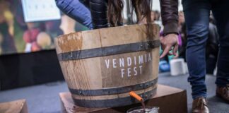 Vendimia Fest 2024: más de 40 viñas de los distintos valles vitivinícolas del país se preparan para la gran fiesta en torno al vino  