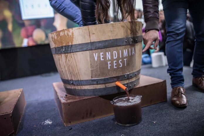 Vendimia Fest 2024: más de 40 viñas de los distintos valles vitivinícolas del país se preparan para la gran fiesta en torno al vino  