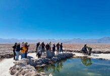 Inician visitas inclusivas en la Reserva Nacional Los Flamencos