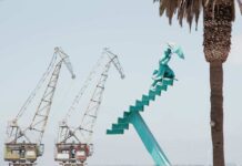 Compromiso Minero releva el rol de la región de Coquimbo a través de banco de fotos gratuito para medios, estudiantes y la comunidad