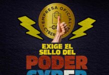 REM Media Consulting: Las claves detrás del éxito histórico del CyberDay 2024