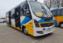 Entregan primeros buses con estándar RED para la Región del Biobío conectarán Santa Juana con Concepción