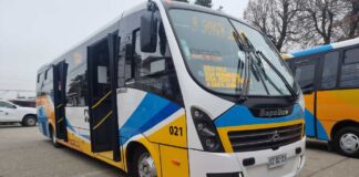 Entregan primeros buses con estándar RED para la Región del Biobío conectarán Santa Juana con Concepción