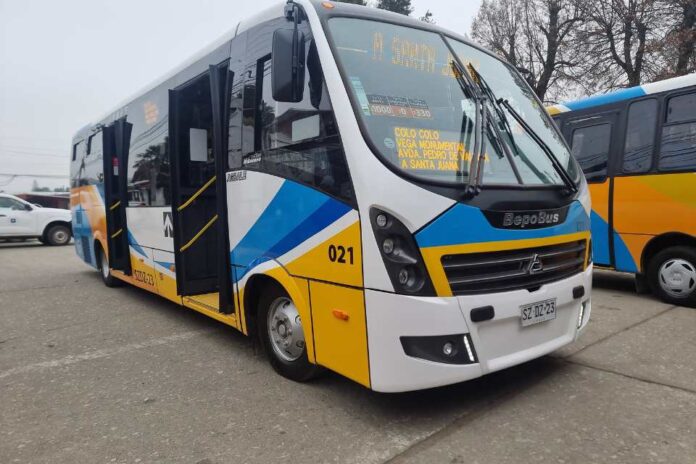 Entregan primeros buses con estándar RED para la Región del Biobío conectarán Santa Juana con Concepción