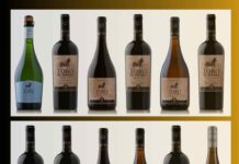 En categoría supermercados NIELSEN NUEVAMENTE POSICIONA A TORO DE PIEDRA COMO LOS VINOS GRAN RESERVA MÁS VENDIDOS Y PREFERIDOS DE LOS CHILENOS ESTE 2024