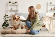 Nuevos seguros para mascotas incluyen costos de traslados, peluquería y hotel