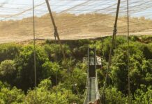 Parque Tricao ganó el Premio Travelers' Choice 2024 de Tripadvisor