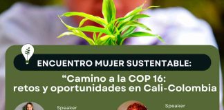 Encuentros Mujer Sustentable: inspirando cambios por el Planeta