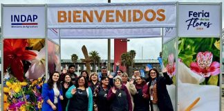 Feria de las Flores Campesinas se posiciona como un espacio de comercialización directa