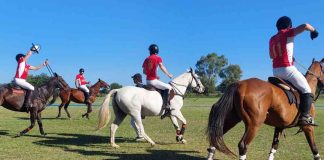 Club de Horseball Santiago Bueras Chile es seleccionado para el campeonato mundial de Argentina 2025