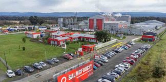 Salmofood obtiene exigente certificación ASC Feed, consolidando su compromiso con la sostenibilidad