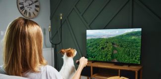 Lo básico de una experiencia visual de calidad para tener en cuenta: tips para elegir el mejor televisor