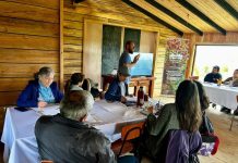 Programa “Emprende+Regenerativo” culmina con resultados destacados en Chiloé